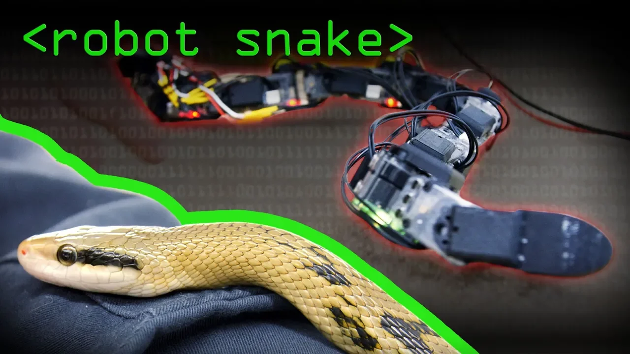 Bio-Inspired Snake Robot Locomotion Explained by Computerphile