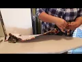 Make a Quick and Easy No-Sew Window Valance