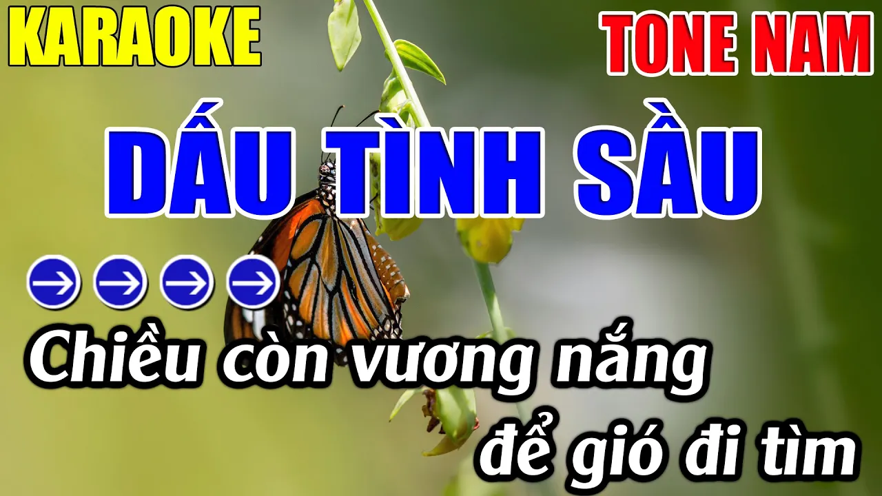 DẤU TÌNH SẦU 
