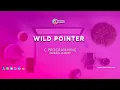 Wild Pointer in C Programming