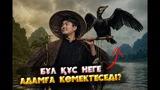 АДАММЕН ЖАНУАР АРАСЫНДАҒЫ БАЙЛАНЫС ҚАНШАЛЫҚТЫ МЫҚТЫ? | ТЕҢІЗ ТҮБІНЕН ТАБЫЛҒАН ТЫЛСЫМ ЗАТТАР