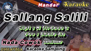 Download sallang salili karaoke versi slow | nada cowok MP3
