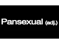 What is a PANSEXUAL