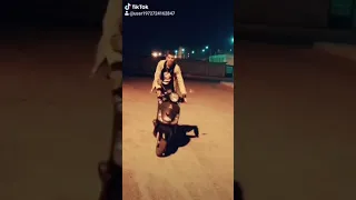 قوله كركر    دندنها