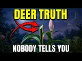 Why Your Oriental Lilies Aren t Blooming The Deer Truth Nobody Told You