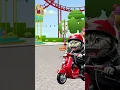 Download Lagu Piw piw piw #cat #shorts #funny