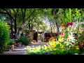 Tucson Botanical Gardens