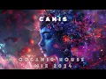 Download Lagu ORGANIC HOUSE MIX 2024 | MANTRA THERAPY | DOWNTEMPO | ZUMA DIONYS | TEYJAS | LILOVA | CANIS MIXTAPE