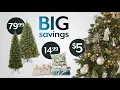 Black Friday at Bealls is going on now