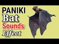 Tunog ng Paniki | Bat , Sounds Effect 🦇, No CopyRight .