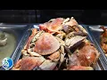 Umi Sushi Seafood Buffet
