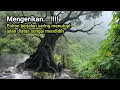 Lagu Mengerikan !!! Melewati jalur kutukan melihat pohon berjalan diatas sungai yang mendidih