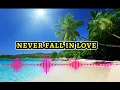 NEVER FALL IN LOVE ( remix)