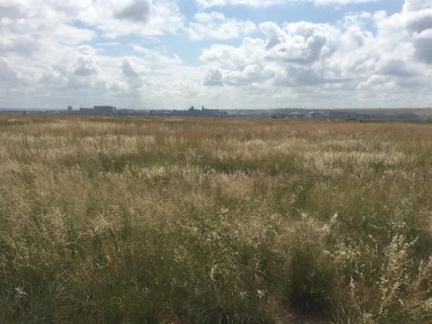 Download MP3 Vacant Land For Sale in Middelburg, Mpumalanga, South Africa for ZAR 1,378,000