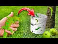 Lagu DIY LIZARD TRAP CATCHES RARE LIZARDS ! MADAGASCAR DAY GECKO !!