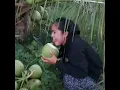 Cewek cantik jilat bikin ngilu