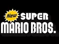 Download Lagu New Super Mario Bros. Music - Bonus Area Extended