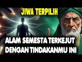 Lagu JIWA TERPILIH 🌟 TINDAKANMU INI MEMBUAT SEMUANYA TERKEJUT