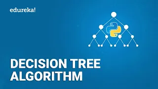 Decision Tree Algorithm Decision Tree in Python Machine Learning Algorithms Edureka