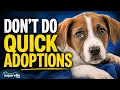 Naperville Area Humane Society Tour How Adoption Actually Works 2026