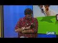 Pet Project Kansas Humane Society to host Clear the Shelters Fluff Muffin up for adoption