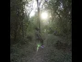 Make It Back To You