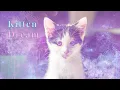 Dreams About KITTENS THIS MESSAGE IS SUPPOSED TO FIND YOU COLLAB WITH Auntyflo
