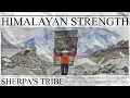 Download Lagu Sherpa: The Proving Grounds | Himalayan Tribe