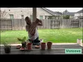 Unboxing 6 Inches Terracotta Pots for Plant