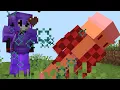 ClownPierce Bans The Bliss SMP Owner