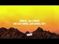 Mike Posner - I Took A Pill In Ibiza (Seeb Remix) (Lyrics) | 432Hz