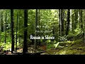 Isaiah Rizzo - My Way (Visualizer)