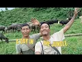 Download Lagu A day in the jungle ll Nagaland ll Konyak tribe #nagaland #nature #northeastindia#nature #travel