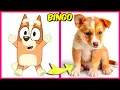How BLUEY Characters Look IN REAL LIFE Guess The Emoji Quiz Favorite Foods More