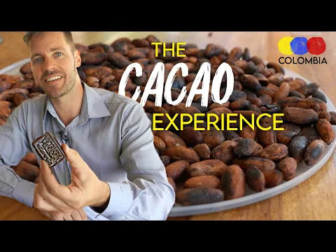 Best Cacao Tour at Hacienda Venecia | Making Chocolate