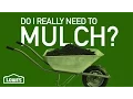 Do I Need To Mulch Around My Plants Gardening Basics w William Moss
