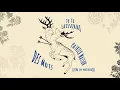 Download Lagu Patrick Watson  - Je te laisserai des mots (Official Portuguese Lyric Video)