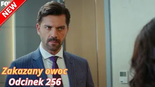 zakazany owoc odcinek 256 yildiz szuka nowej mi o ci mert chce sprzeda firm 