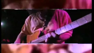 Download Eddie Van Halen - 316 Guitar Solo (Live 1993) MP3