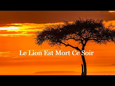 Download MP3 Le Lion est mort ce soir - Pow Wow (Paroles)