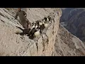 Winter migration of nomads and life on the edge of the abyss: a full day with the toughest mountain