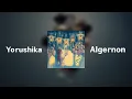 Download Lagu Yorushika - Algernon 1hour