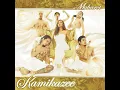 Director's Cut - Kamikazee