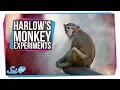 Harlow s Horrifying Monkey Experiments