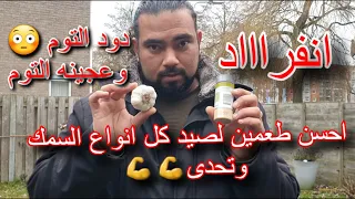 اقوى طعم لصيد السمك فى الشتاء ومفاجأه دود التوم 