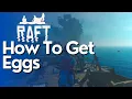 How To Get Eggs in Raft