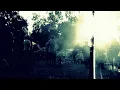 Sziget sickness. Michael andrews - goldfish