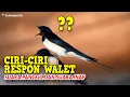 Download Lagu INILAH CIRI - CIRI WALET YANG MERESPON SUARA PANGGIL DAN SUARA INAP