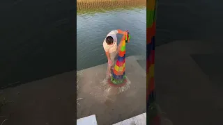 How To Throw A Cast Net Catch Many Fish In The River 9 