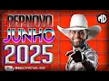 Download Lagu GUILHERME SILVA REPERTÓRIO JUNHO 2025 CD PROMOCIONAL JUNHO 2025 ATUALIZADO 2025